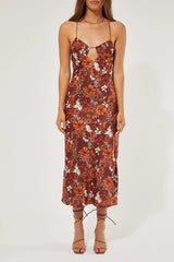 Perfect Stranger Arizona Tie Up Midi Dress Arizona Print