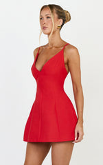 Sheeran Mini Dress