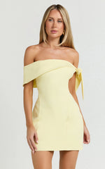 Cecilia Mini Dress