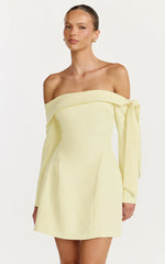 Eljay Mini Dress