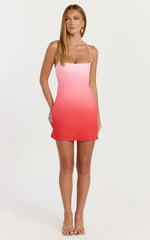 Lolly Mini Dress